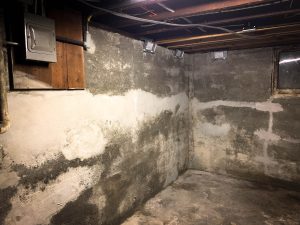 water damaged basement