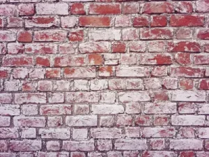 brick wall in portland with major efflorescence