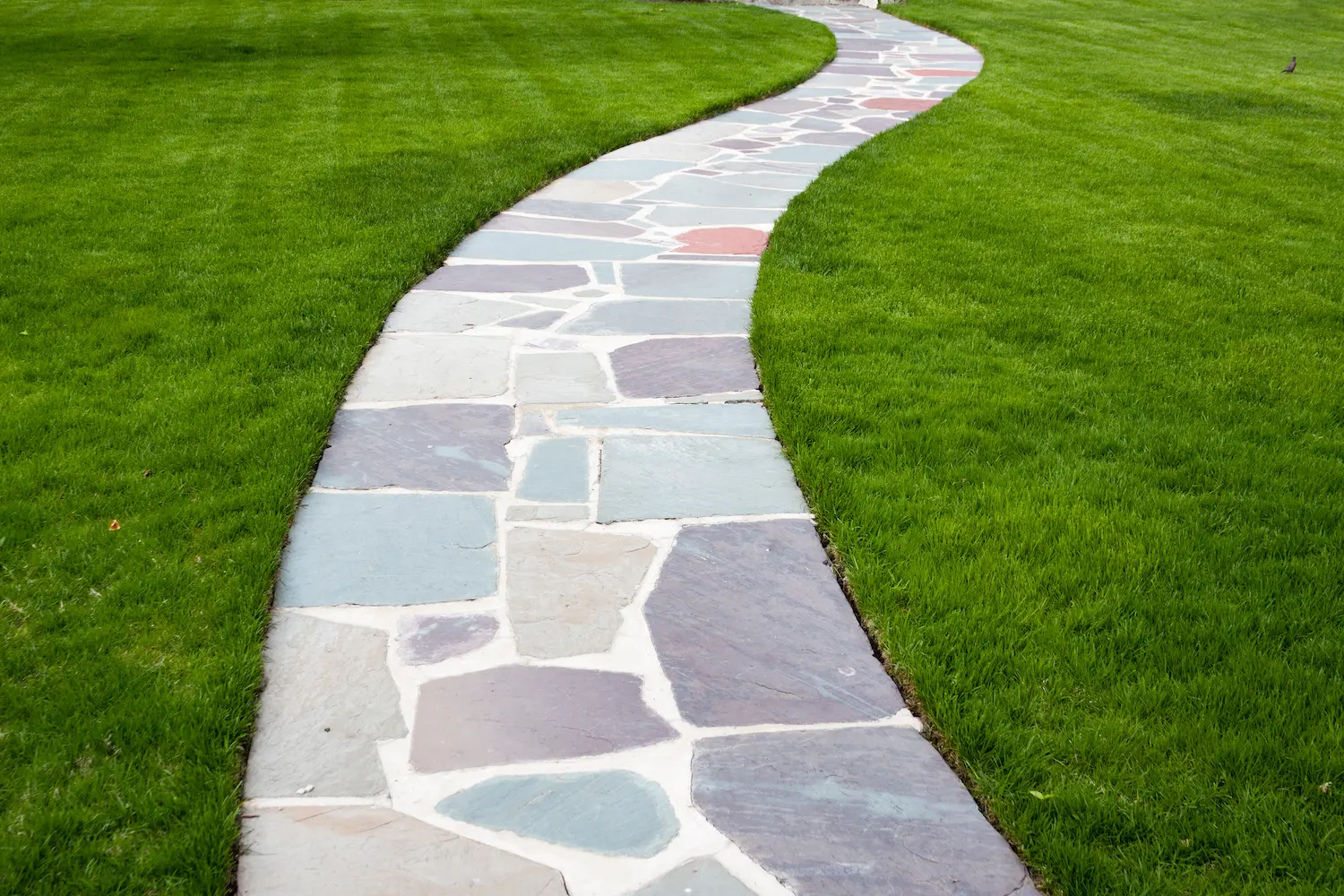 paver_walkway newly installed paver walkway on a lawn with lush grass